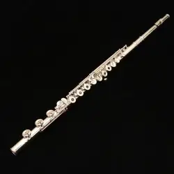 Musical Equipment