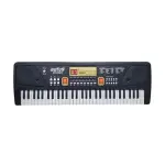 61 Keys Electronic Piano Keyboard for Beginners with LED Display & Mic | Portable Digital Music Keyboard with Multiple Tones