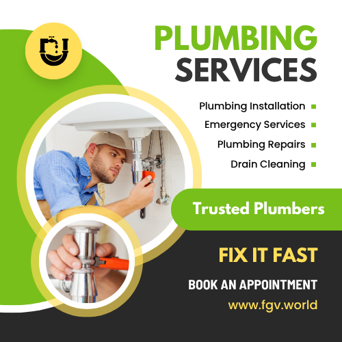 Professional Plumbing Services